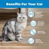 image:imageBest Pet Supplies Catify Cat Scratcher Fun Interactive Scratchers Posts Poles Claw Safe Furniture Saver Indoor Play Support Natural Cat Behaviors Heavy Duty  LShape Scratcher 165 x 114Wave 2 Pack