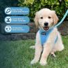 image:imageBest Pet Supplies Voyager Stepin Air All Weather Mesh Harness and Reflective Dog 5ft Leash Combo with Neoprene Handle for Small Medium and Large Breed Puppies  Set Moss Green MediumHarness Leash Set Baby Blue