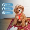 image:imageBest Pet Supplies Voyager Stepin Air All Weather Mesh Harness and Reflective Dog 5ft Leash Combo with Neoprene Handle for Small Medium and Large Breed Puppies  Set Moss Green MediumHarness Leash Set Orange