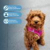 image:imageBest Pet Supplies Voyager Stepin Air All Weather Mesh Harness and Reflective Dog 5ft Leash Combo with Neoprene Handle for Small Medium and Large Breed Puppies  Set Moss Green MediumHarness Leash Set Fuchsia