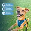 image:imageBest Pet Supplies Voyager Stepin Air All Weather Mesh Harness and Reflective Dog 5ft Leash Combo with Neoprene Handle for Small Medium and Large Breed Puppies  Set Moss Green MediumHarness Leash Set Turquoise