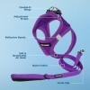 image:imageBest Pet Supplies Voyager Stepin Air All Weather Mesh Harness and Reflective Dog 5ft Leash Combo with Neoprene Handle for Small Medium and Large Breed Puppies  Set Moss Green MediumHarness Leash Set Purple