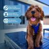 image:imageBest Pet Supplies Voyager Stepin Air All Weather Mesh Harness and Reflective Dog 5ft Leash Combo with Neoprene Handle for Small Medium and Large Breed Puppies  Set Moss Green MediumHarness Leash Bundle Royal BlueBlack Trim