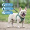 image:imageBest Pet Supplies Voyager Stepin Air All Weather Mesh Harness and Reflective Dog 5ft Leash Combo with Neoprene Handle for Small Medium and Large Breed Puppies  Set Moss Green MediumHarness Leash Set Moss Green