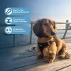 image:imageBest Pet Supplies Voyager Stepin Air All Weather Mesh Harness and Reflective Dog 5ft Leash Combo with Neoprene Handle for Small Medium and Large Breed Puppies  Set Moss Green MediumHarness Leash Set Black