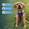 image:imageBest Pet Supplies Voyager Stepin Air All Weather Mesh Harness and Reflective Dog 5ft Leash Combo with Neoprene Handle for Small Medium and Large Breed Puppies  Set Moss Green MediumHarness Leash Set Purple