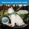 image:imageVoyager Stepin Pet Harness  All Weather Mesh Adjustable Step in Harness for Cats and Dogs by Best Pet Supplies  307 Set Lavender S307 Set Moss Green