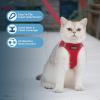 image:imageVoyager Stepin Pet Harness  All Weather Mesh Adjustable Step in Harness for Cats and Dogs by Best Pet Supplies  307 Set Lavender S307 Set Red
