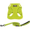 Harness Leash Set (Lime Green)