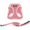 Harness Leash Set (Pink)