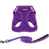 Harness Leash Set (Purple)