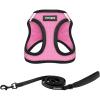 Harness Leash Bundle (Pink/Black Trim)