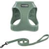 307 Set Moss Green