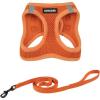 307 Set Orange