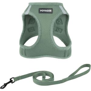 image:imageVoyager Stepin Pet Harness  All Weather Mesh Adjustable Step in Harness for Cats and Dogs by Best Pet Supplies  307 Set Lavender S307 Set Moss Green