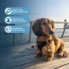 image:imageBest Pet Supplies Voyager Stepin Air Harness  All Weather Mesh Reflective No Pull Harness for Dogs Cats  Secure with Hook amp Loop Fastener Buckle Double DRings  Khaki SHarness Black