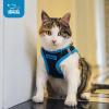 image:imageBest Pet Supplies Voyager Stepin Air Harness  All Weather Mesh Reflective No Pull Harness for Dogs Cats  Secure with Hook amp Loop Fastener Buckle Double DRings  Khaki SHarness Turquoise