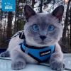 image:imageBest Pet Supplies Voyager Stepin Air Harness  All Weather Mesh Reflective No Pull Harness for Dogs Cats  Secure with Hook amp Loop Fastener Buckle Double DRings  Khaki SHarness Baby BlueBlack Trim