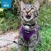 image:imageBest Pet Supplies Voyager Stepin Air Harness  All Weather Mesh Reflective No Pull Harness for Dogs Cats  Secure with Hook amp Loop Fastener Buckle Double DRings  Khaki SHarness Purple