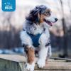 image:imageBest Pet Supplies Voyager Stepin Air Harness  All Weather Mesh Reflective No Pull Harness for Dogs Cats  Secure with Hook amp Loop Fastener Buckle Double DRings  Khaki SHarness Turquoise