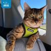 image:imageBest Pet Supplies Voyager Stepin Air Harness  All Weather Mesh Reflective No Pull Harness for Dogs Cats  Secure with Hook amp Loop Fastener Buckle Double DRings  Khaki SHarness Lime GreenBlack Trim