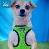 image:imageBest Pet Supplies Voyager Stepin Air Harness  All Weather Mesh Reflective No Pull Harness for Dogs Cats  Secure with Hook amp Loop Fastener Buckle Double DRings  Khaki SHarness Lime Green 2Tone