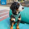 image:imageBest Pet Supplies Voyager Stepin Air Harness  All Weather Mesh Reflective No Pull Harness for Dogs Cats  Secure with Hook amp Loop Fastener Buckle Double DRings  Khaki SHarness Turquoise 2Tone