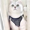 image:imageBest Pet Supplies Voyager Stepin Air Harness  All Weather Mesh Reflective No Pull Harness for Dogs Cats  Secure with Hook amp Loop Fastener Buckle Double DRings  Khaki SHarness Gray 2Tone