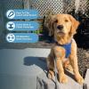 image:imageBest Pet Supplies Voyager Stepin Air Harness  All Weather Mesh Reflective No Pull Harness for Dogs Cats  Secure with Hook amp Loop Fastener Buckle Double DRings  Khaki SHarness Royal Blue