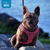 image:imageBest Pet Supplies Voyager Stepin Air Harness  All Weather Mesh Reflective No Pull Harness for Dogs Cats  Secure with Hook amp Loop Fastener Buckle Double DRings  Khaki SHarness Turquoise
