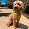 image:imageBest Pet Supplies Voyager Stepin Air Harness  All Weather Mesh Reflective No Pull Harness for Dogs Cats  Secure with Hook amp Loop Fastener Buckle Double DRings  Khaki SHarness Lime Green