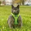 image:imageBest Pet Supplies Voyager Stepin Air Harness  All Weather Mesh Reflective No Pull Harness for Dogs Cats  Secure with Hook amp Loop Fastener Buckle Double DRings  Khaki SHarness Lime Green 2Tone