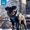 image:imageBest Pet Supplies Voyager Stepin Air Harness  All Weather Mesh Reflective No Pull Harness for Dogs Cats  Secure with Hook amp Loop Fastener Buckle Double DRings  Khaki SHarness BlueBlack Trim