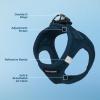 image:imageBest Pet Supplies Voyager Stepin Air Harness  All Weather Mesh Reflective No Pull Harness for Dogs Cats  Secure with Hook amp Loop Fastener Buckle Double DRings  Khaki SHarness Blue
