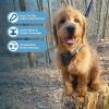 image:imageBest Pet Supplies Voyager Stepin Air Harness  All Weather Mesh Reflective No Pull Harness for Dogs Cats  Secure with Hook amp Loop Fastener Buckle Double DRings  Khaki SHarness Gray 2Tone