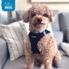image:imageBest Pet Supplies Voyager Stepin Air Harness  All Weather Mesh Reflective No Pull Harness for Dogs Cats  Secure with Hook amp Loop Fastener Buckle Double DRings  Khaki SHarness Black