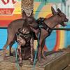 image:imageBest Pet Supplies Voyager Stepin Air Harness  All Weather Mesh Reflective No Pull Harness for Dogs Cats  Secure with Hook amp Loop Fastener Buckle Double DRings  Khaki SHarness ArmyBlack Trim