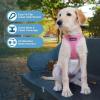 image:imageBest Pet Supplies Voyager Stepin Air Harness  All Weather Mesh Reflective No Pull Harness for Dogs Cats  Secure with Hook amp Loop Fastener Buckle Double DRings  Khaki SHarness Pink