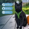 image:imageBest Pet Supplies Voyager Stepin Air Harness  All Weather Mesh Reflective No Pull Harness for Dogs Cats  Secure with Hook amp Loop Fastener Buckle Double DRings  Khaki SHarness Lime Green 2Tone