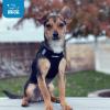 image:imageBest Pet Supplies Voyager Stepin Air Harness  All Weather Mesh Reflective No Pull Harness for Dogs Cats  Secure with Hook amp Loop Fastener Buckle Double DRings  Khaki SHarness Black