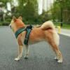 image:imageBest Pet Supplies Voyager Stepin Air Harness  All Weather Mesh Reflective No Pull Harness for Dogs Cats  Secure with Hook amp Loop Fastener Buckle Double DRings  Khaki SHarness Turquoise 2Tone