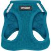 Harness (Turquoise)