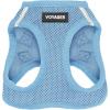 Harness (Baby Blue)