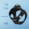 image:imageBest Pet Supplies  All Weather MeshPlush Reflective No Pull Harness for Small Medium Dogs Cats  Secure with Hook amp Loop Fastener Buckle Double DRings  PinkBlack Trim MHarness BlackBlack Trim