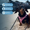 image:imageBest Pet Supplies  All Weather MeshPlush Reflective No Pull Harness for Small Medium Dogs Cats  Secure with Hook amp Loop Fastener Buckle Double DRings  PinkBlack Trim MHarness PinkBlack Trim