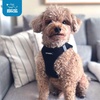 image:imageBest Pet Supplies  All Weather MeshPlush Reflective No Pull Harness for Small Medium Dogs Cats  Secure with Hook amp Loop Fastener Buckle Double DRings  PinkBlack Trim MArns borde negronegro