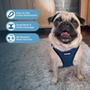 image:imageBest Pet Supplies  All Weather MeshPlush Reflective No Pull Harness for Small Medium Dogs Cats  Secure with Hook amp Loop Fastener Buckle Double DRings  PinkBlack Trim MHarness BlueBlack Trim
