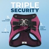 image:imageBest Pet Supplies  All Weather MeshPlush Reflective No Pull Harness for Small Medium Dogs Cats  Secure with Hook amp Loop Fastener Buckle Double DRings  PinkBlack Trim MHarness Fuchsia 2Tone