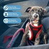 image:imageBest Pet Supplies  All Weather MeshPlush Reflective No Pull Harness for Small Medium Dogs Cats  Secure with Hook amp Loop Fastener Buckle Double DRings  PinkBlack Trim MHarness BlackRed Trim