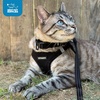 image:imageBest Pet Supplies  All Weather MeshPlush Reflective No Pull Harness for Small Medium Dogs Cats  Secure with Hook amp Loop Fastener Buckle Double DRings  PinkBlack Trim MHarness BlackBlack Trim